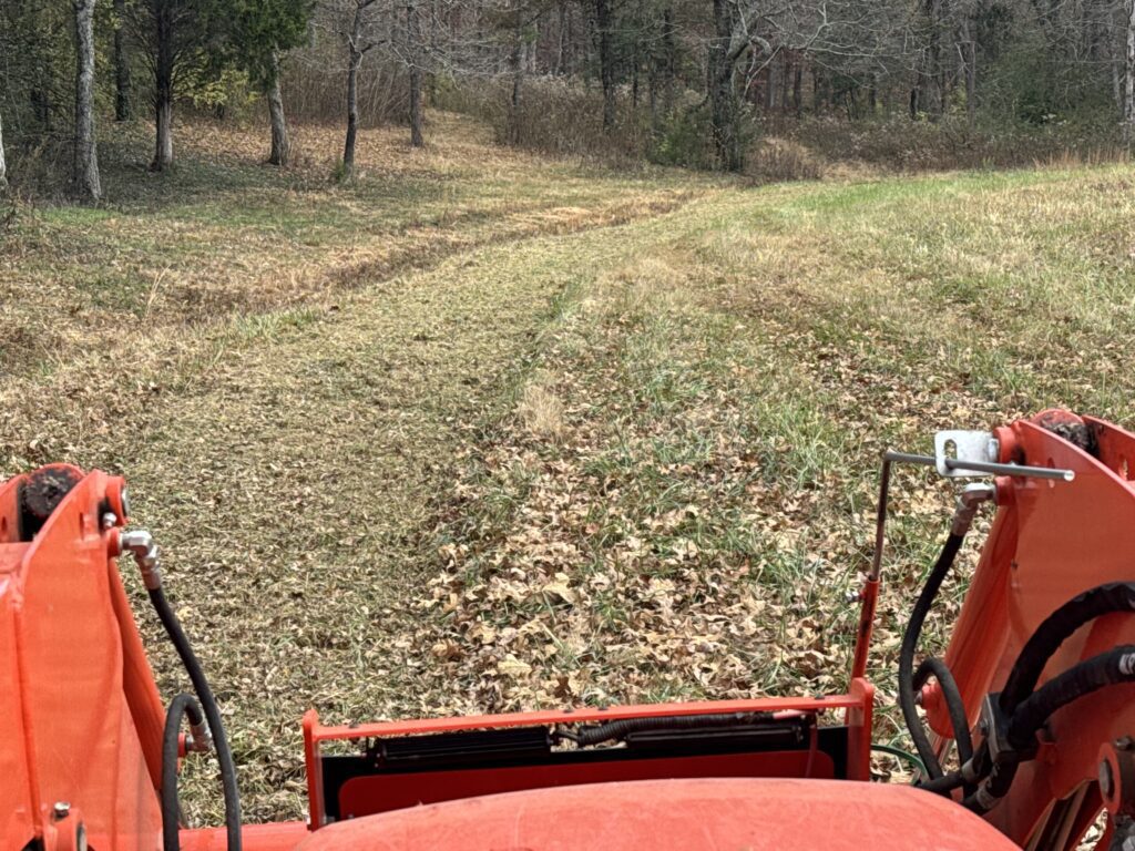 Image #5 from Raymond Little